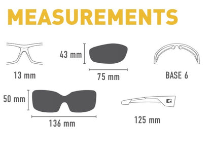 Bobster Paragon glasses
